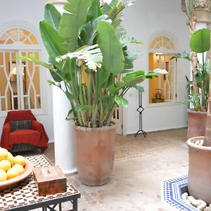 Dar Loulema Riad Essaouira